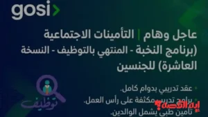 تأمينات تعلن عن فتح باب القبول في برنامج النخبة للتوظيف واستقبال طلبات المتقدمين خلال إسبوعين